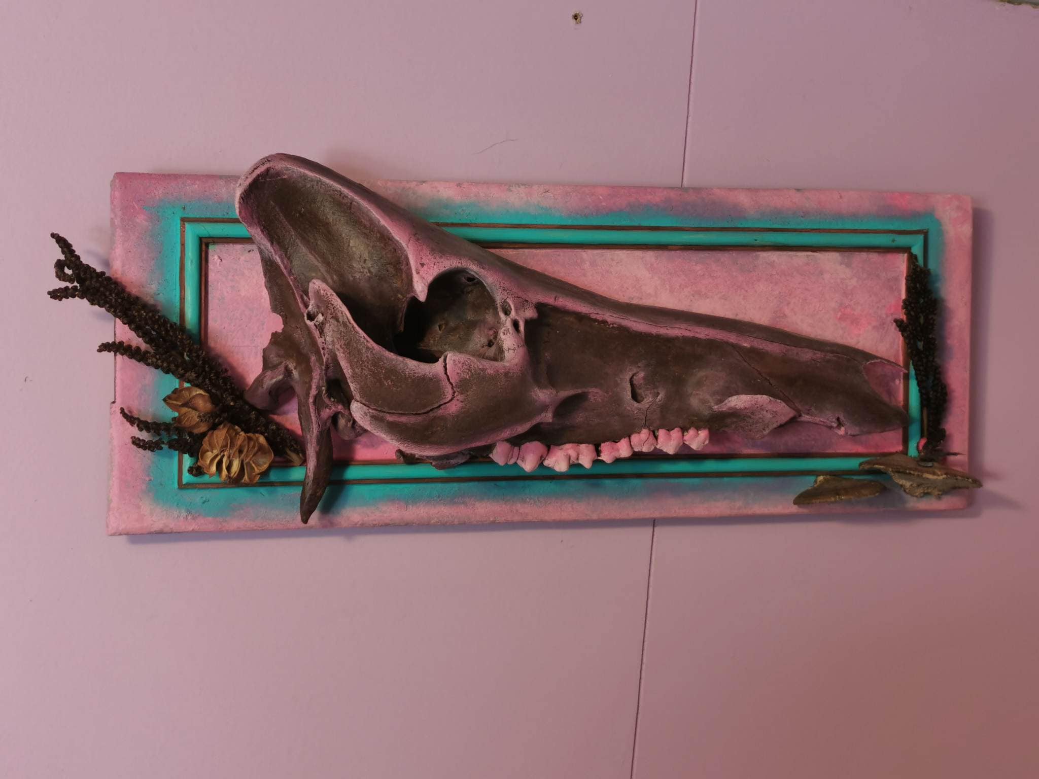 Half wild boar skull on plaque