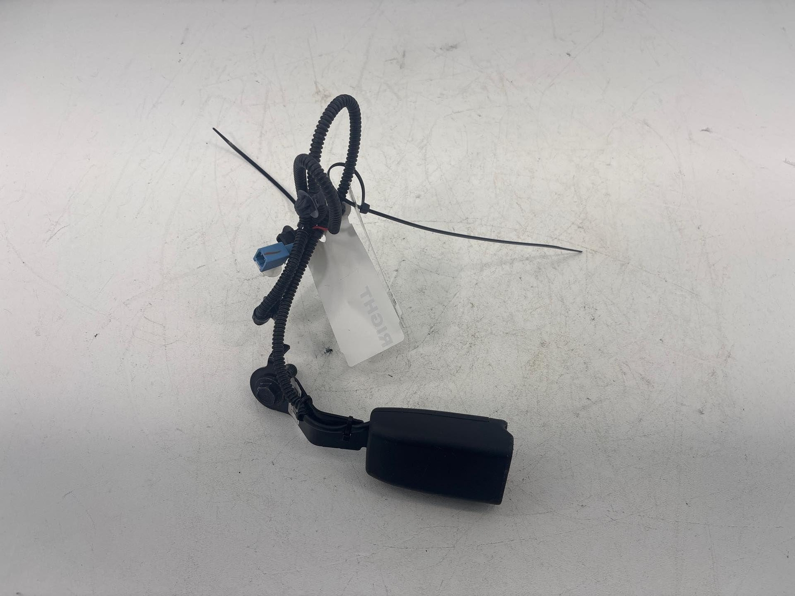 2016-2020 Honda Civic Front Right Side Seat Belt Seatbelt Buckle Oem
