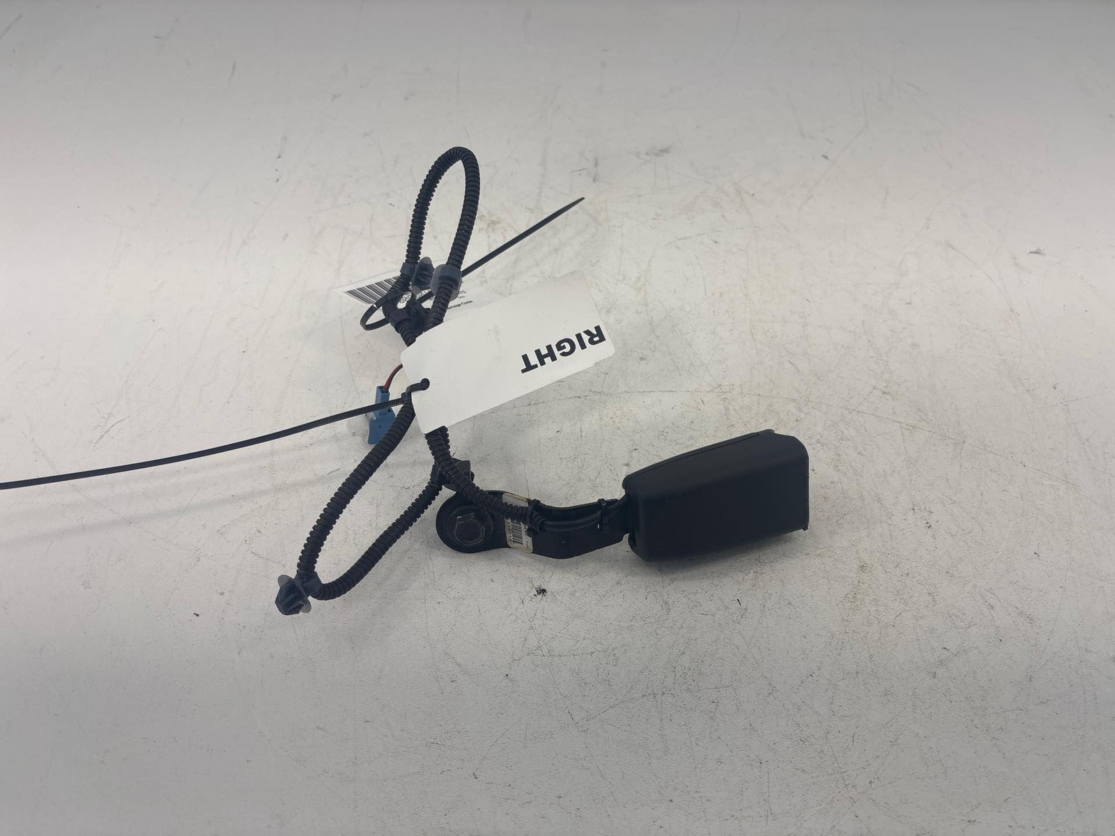 2016-2020 Honda Civic Front Right Side Seat Belt Seatbelt Buckle Oem