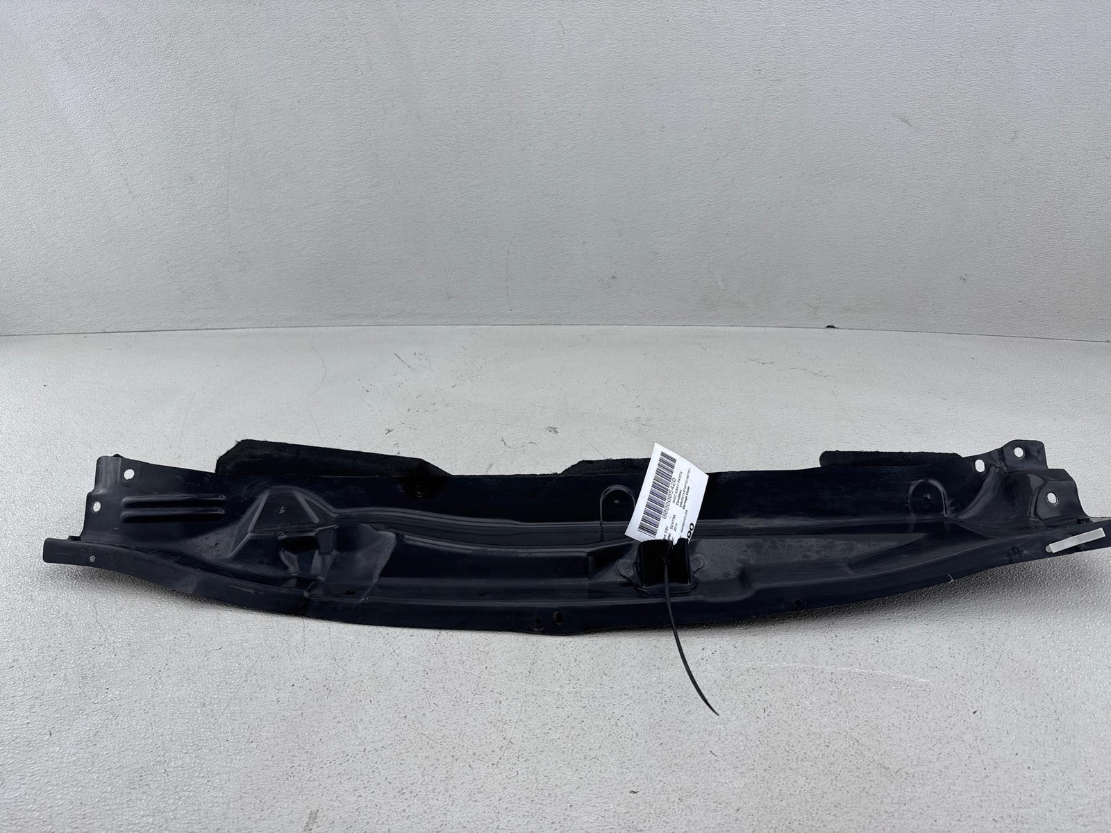 2013-2019 Nissan Sentra Windshield Cover Cowl Extension Panel Oem
